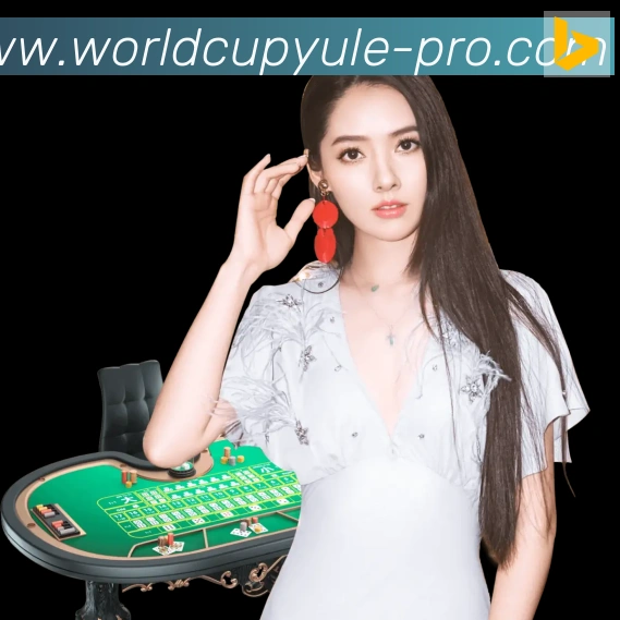 奖项4